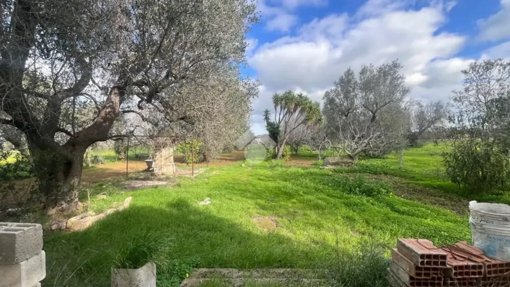 Garden - Rustic Villa with Garden in Mesagne