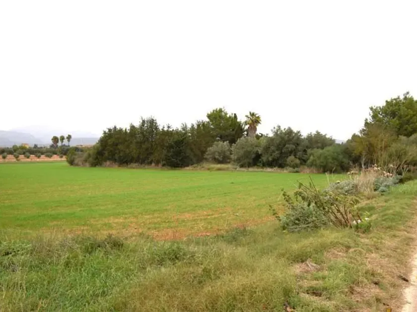 Jardin - Maison à Balears (Illes)