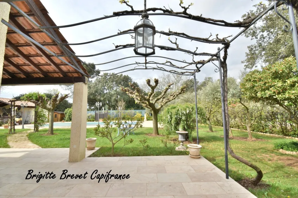 Terrass - House with Pool in Saint-Maximin-la-Sainte-Baume