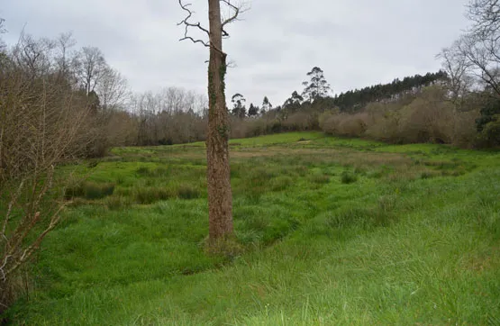 Jardin - Land Parcel in Ribadedeva, Asturias