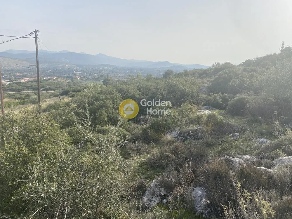 Garden - Buildable Plot with Panoramic Views in Chalkida