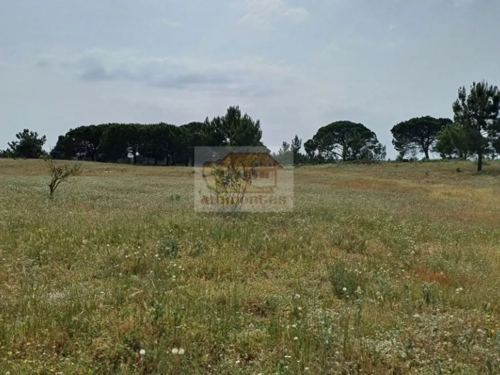 Aed - Luxury House with Alentejo Design in Grândola