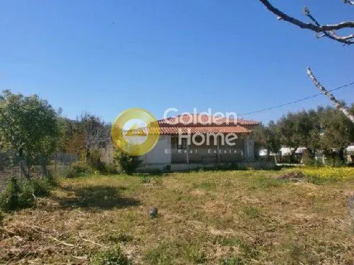 Jardin - Residential Plot with Existing Building in Palaiophocaia