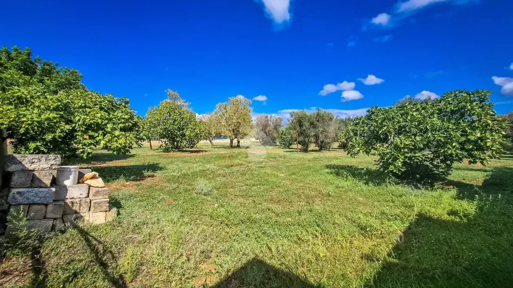 Aed - Traditional House with Garden in Carovigno