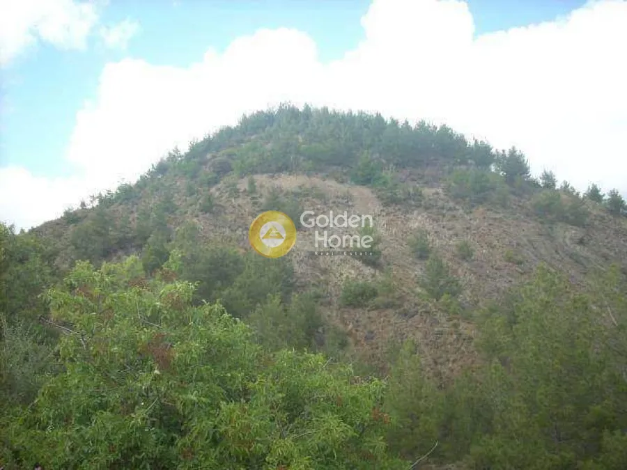 Extensive Land with Forest View in Lemessos