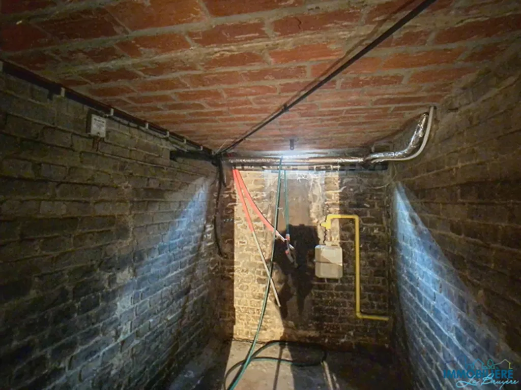 cellar