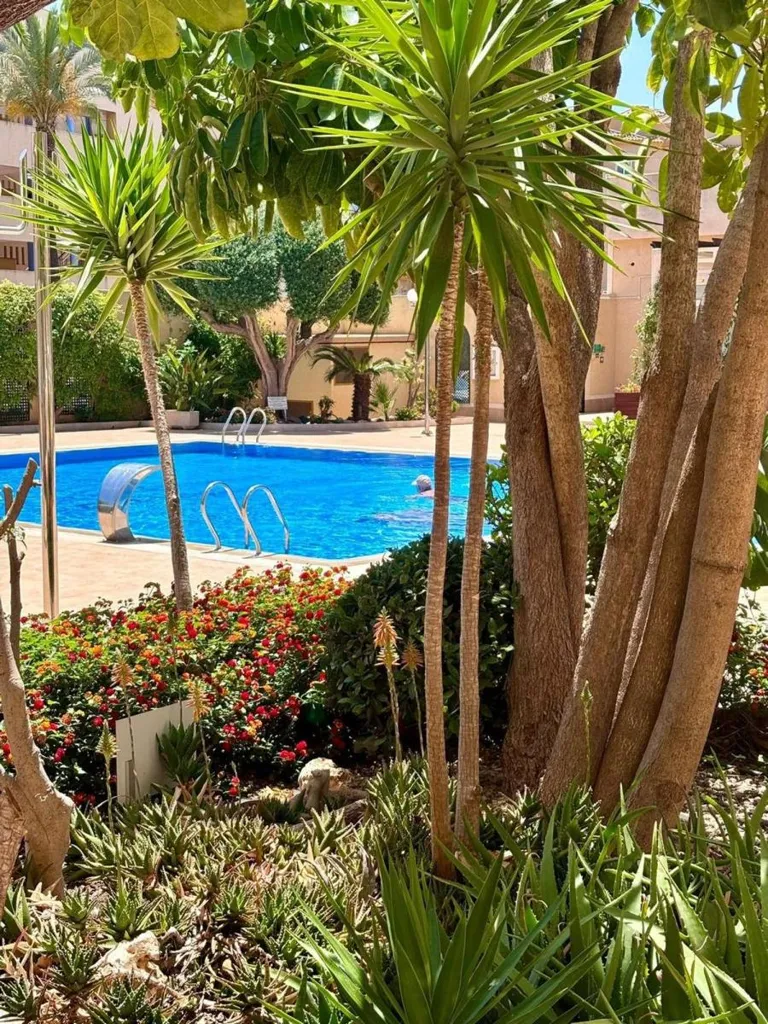 Pool - 2-Bedroom Apartment with Terrace in Cabo Roig