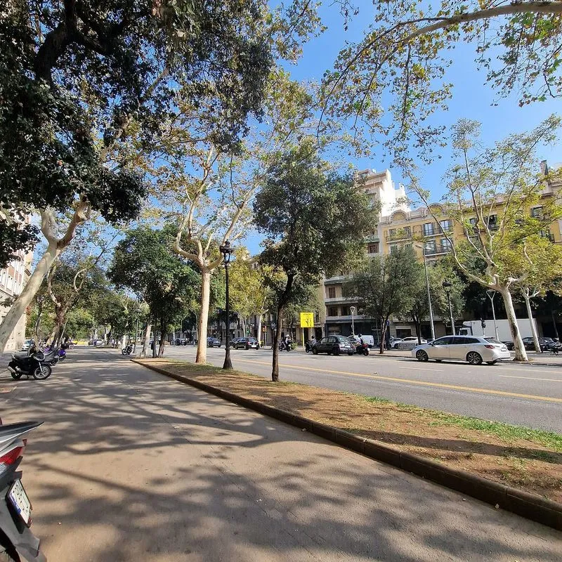 Apartment with Terrace on Avenida Diagonal