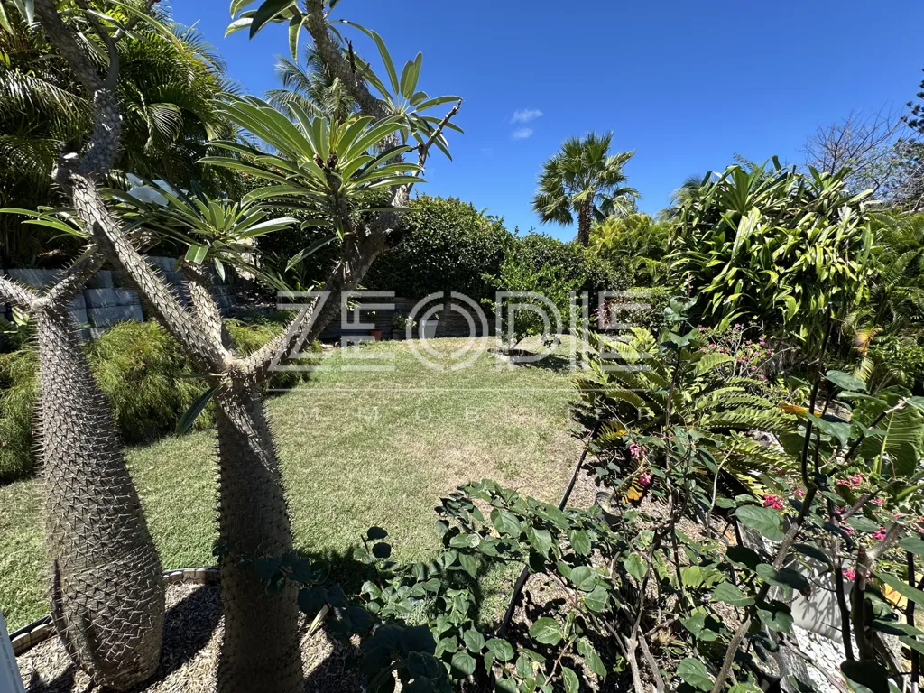 Jardin - Villa d'Architecte avec Piscine à Saint-François