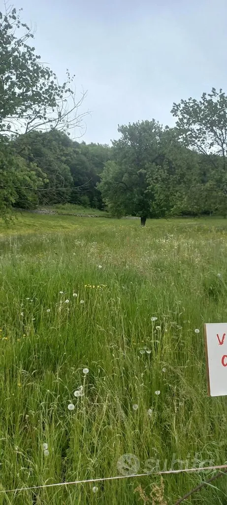 Garden - 5000sqm Land in Zogno, Bergamo