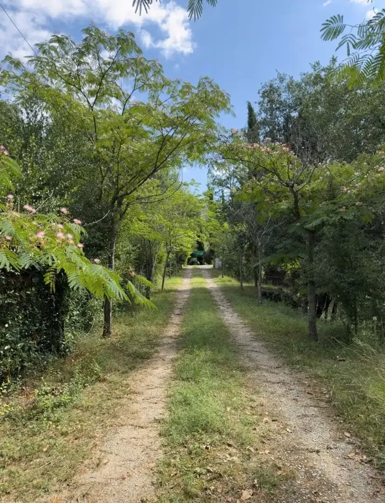Välivaade - Chalet with Private Forest in Sant Aniol de Finestres