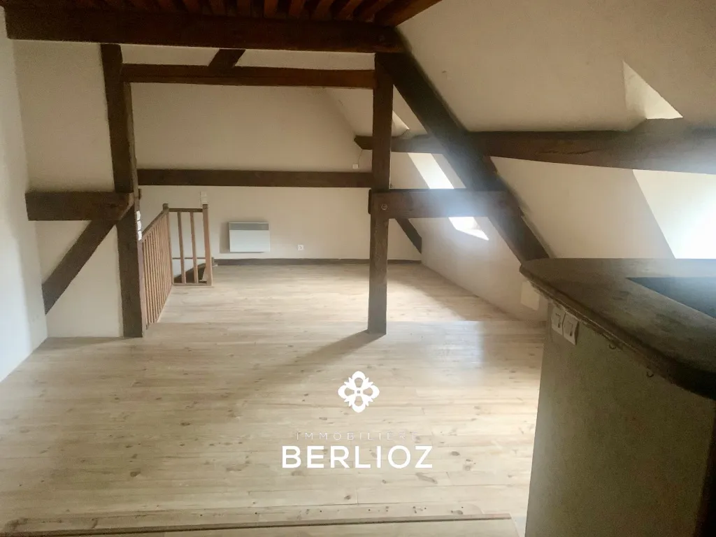 Toad - Duplex Apartment in Château d'Uriage