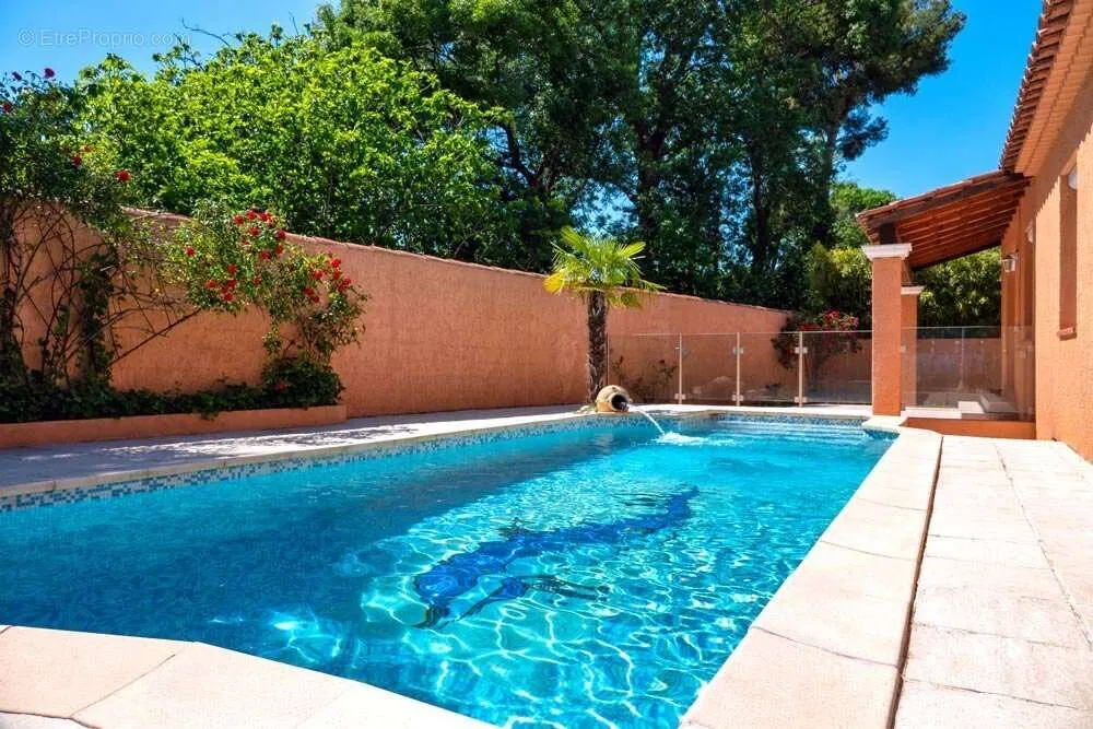 Piscine - Maison avec Piscine et Studio Indépendant