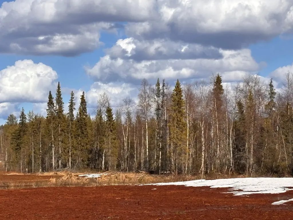 Forest Property with Development Potential in Gällivare