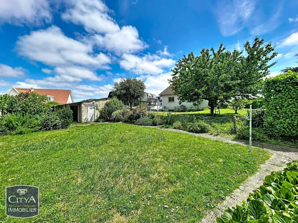 Jardin - Maison avec Jardin à Hérouville-Saint-Clair