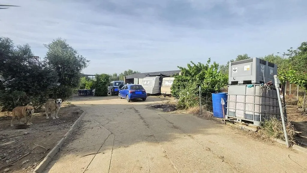 driveway