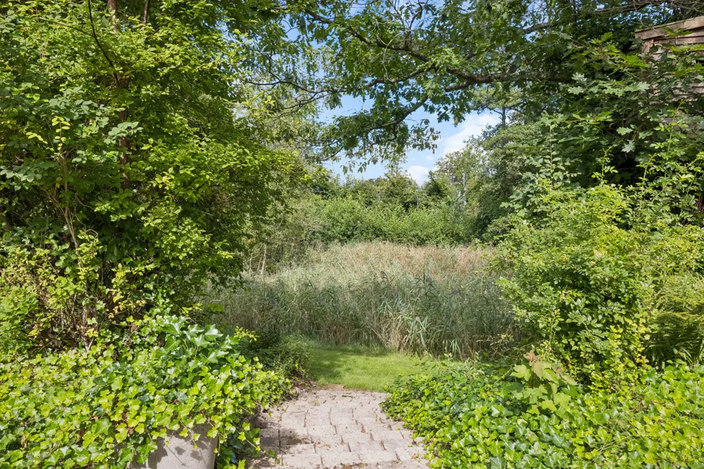 garden