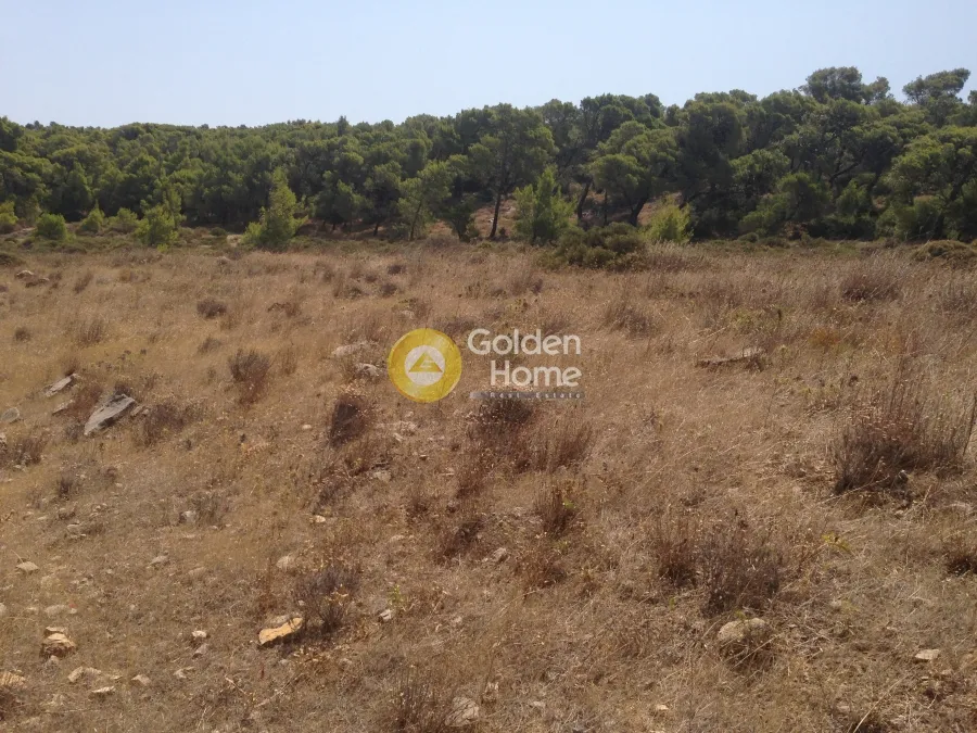 Jardin - Plot with Unrestricted View in Kalivia - Lagonisai