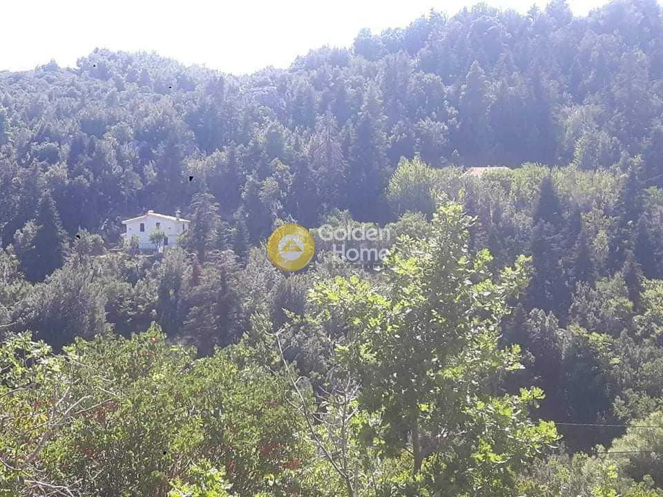 Jardin - Plot with Panoramic Views in Eretria - Gerondas