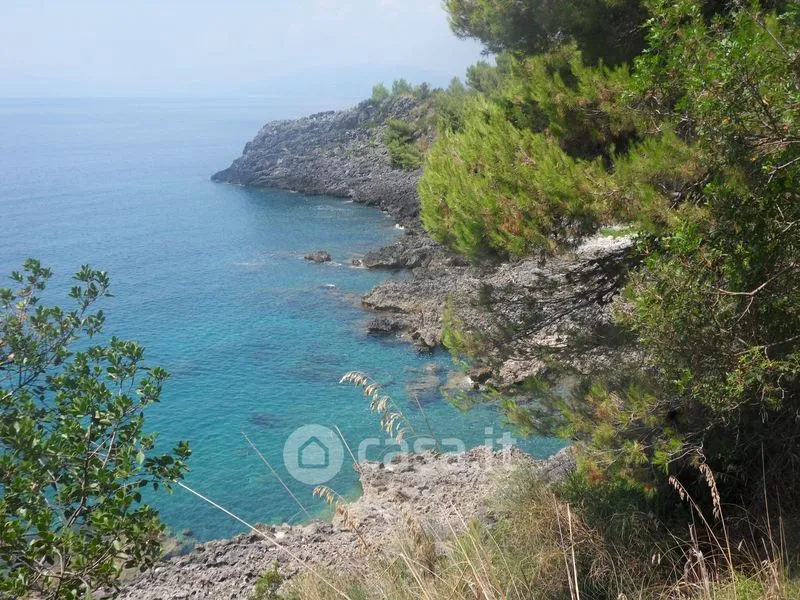 Garden - Villa with Seafront Access in Maratea