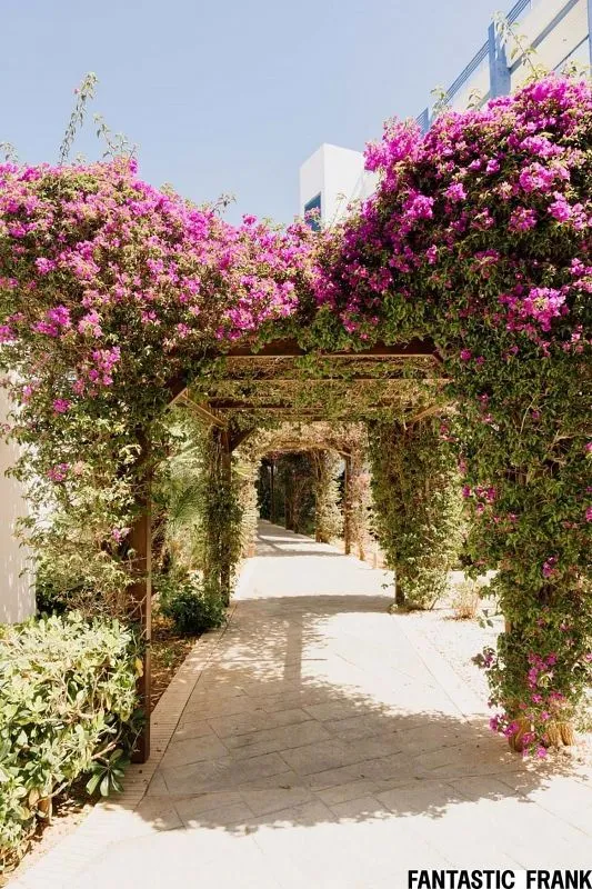 Garden - Apartment with Sea View and Pool in Santa Eulària
