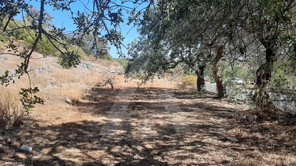Aed - Restoration Plot with Mountain View near Faro