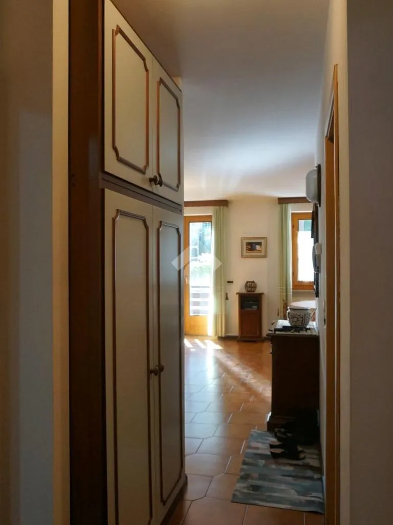 Entrée - 3-Room Apartment with Balconies in Andalo