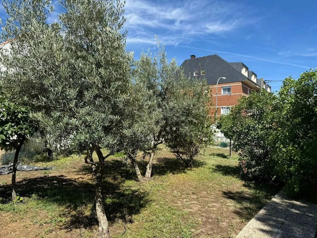 Aed - Luxury Villa with Large Parcel in Collado Villalba