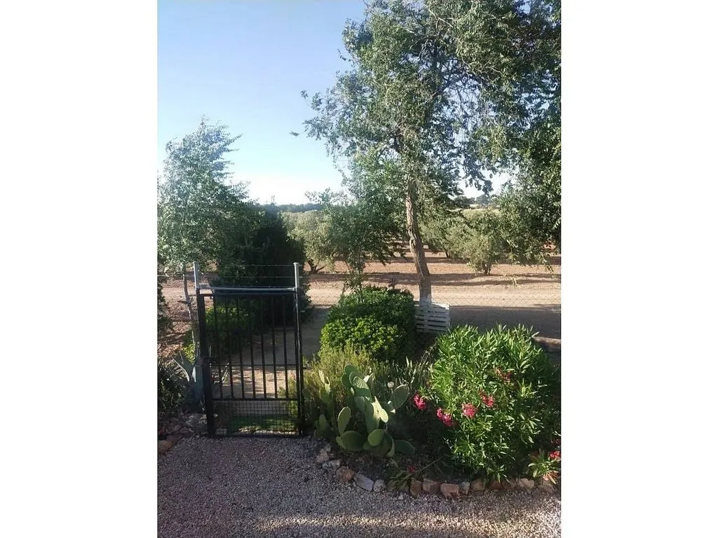 Aed - Rural House with Pool in Manzanares