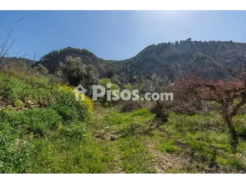 Giardino - Rustic Finca with Mountain View in Cónchar