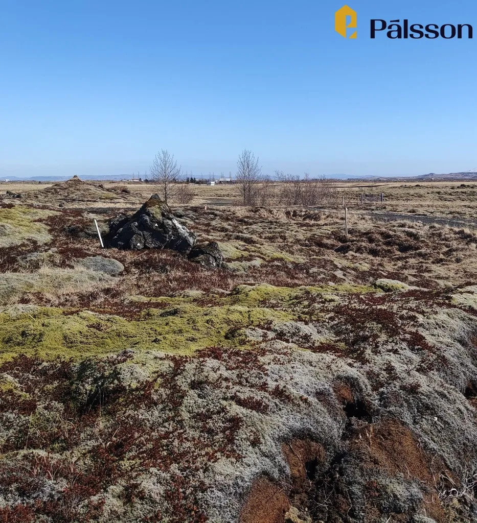 Bien à Selfoss