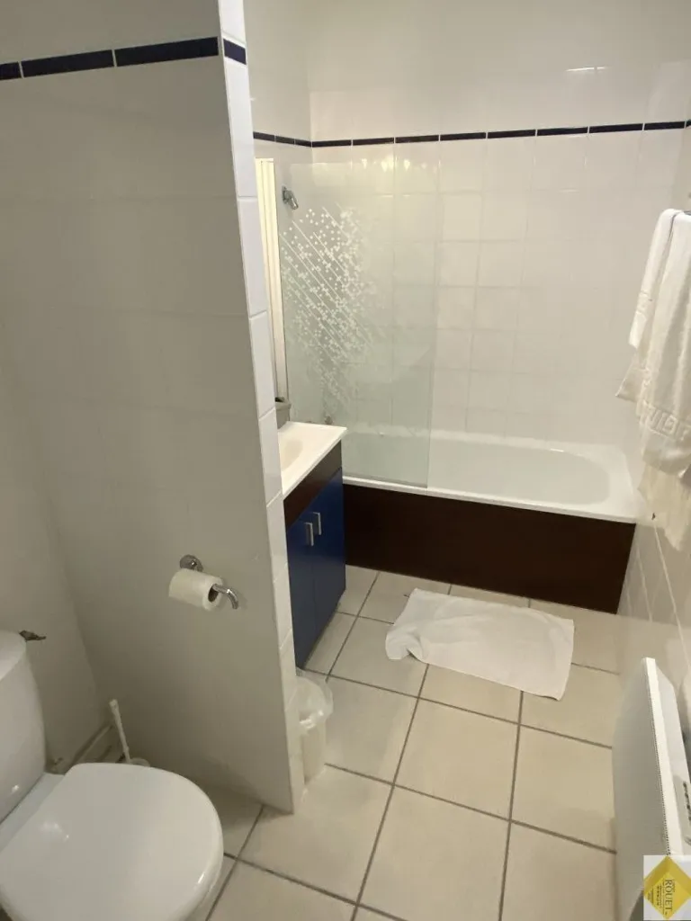 Vannitoad - Duplex Apartment with Parking in La Roche Posay