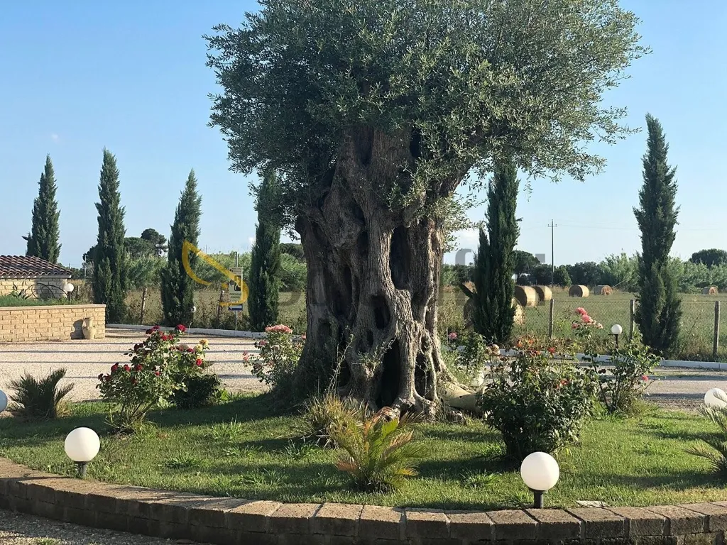 Aed - Modern Studio Apartment with Sea View in Tarquinia
