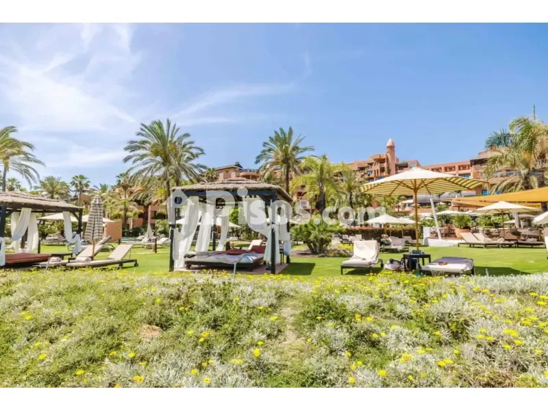 Aed - Luxury Apartment with Jacuzzi Terrace in Estepona