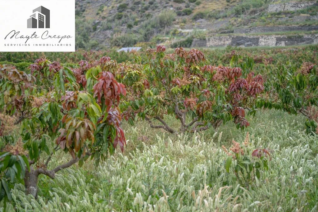 Aed - Development Land with Sea View in Salobreña