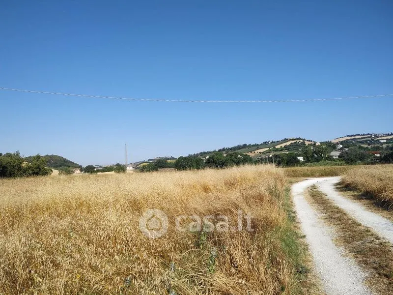 Garten - Villa with Garden near Fermo