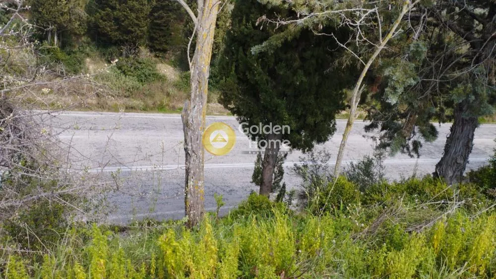 Jardin - Plot with Panoramic Sea View in Zalongo