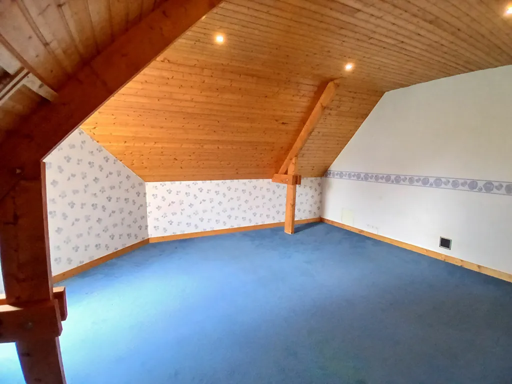 Stanze - Spacious House with Beautiful Garden in Pacé