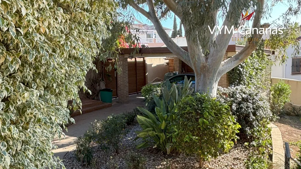 Jardin - Luxury Villa with Pool in Ciudad Quesada