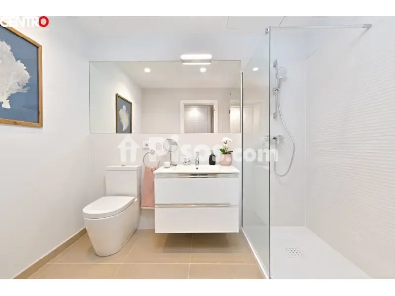 Bathrooms - Apartment with Terrace in La Zubia Centre