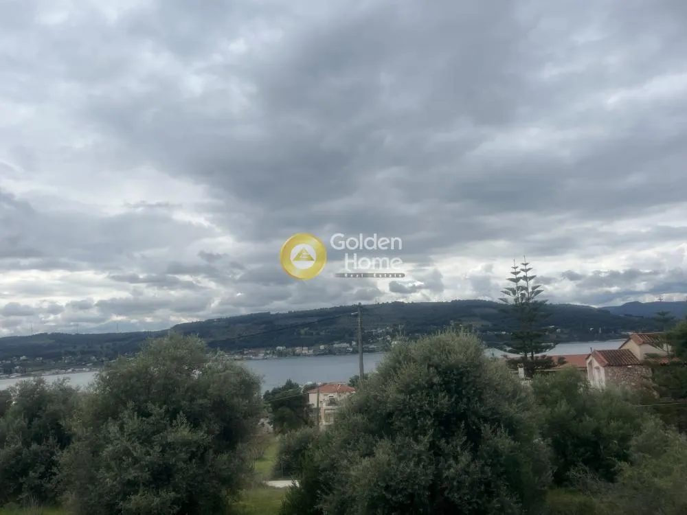 Aed - Corner Plot with Olive Trees in Theologos