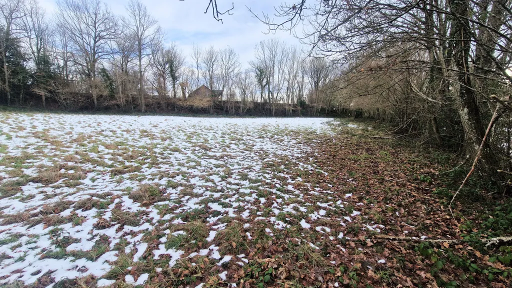 Jardin - Terrain Constructible au Calme à Chapdes-Beaufort
