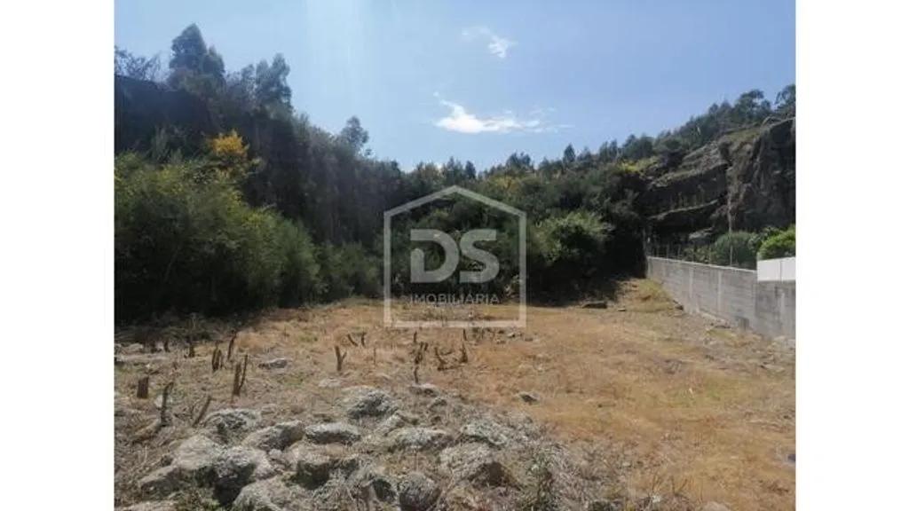 Jardin - Luxury Villa with Solar Panels in Penafiel