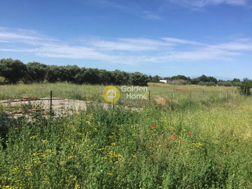 Aed - Plot for Villa with Olive Trees in Thermi Centre
