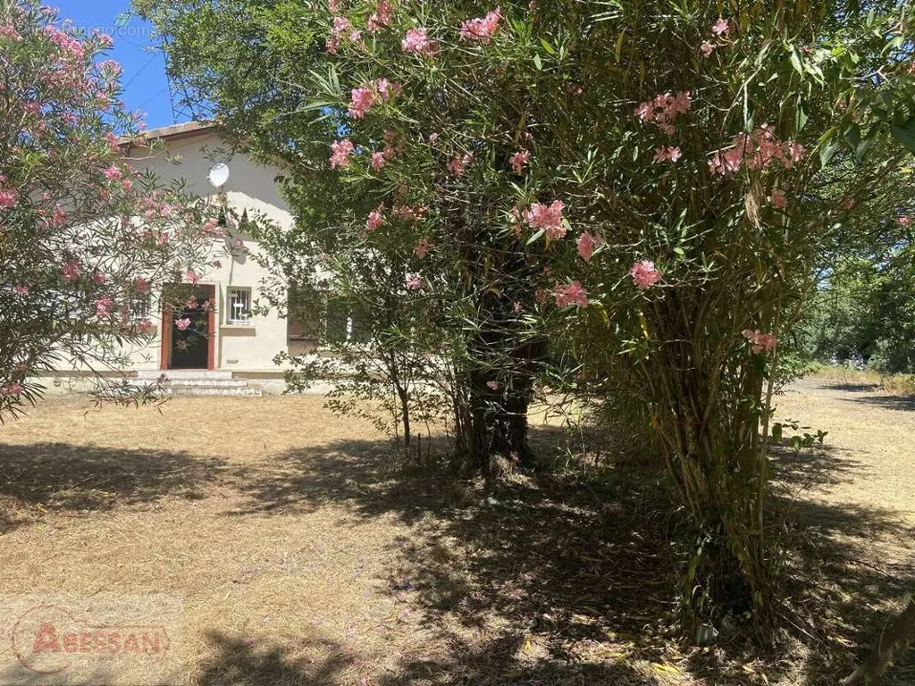 Aed - T4 House with Amenable Attics in Roques
