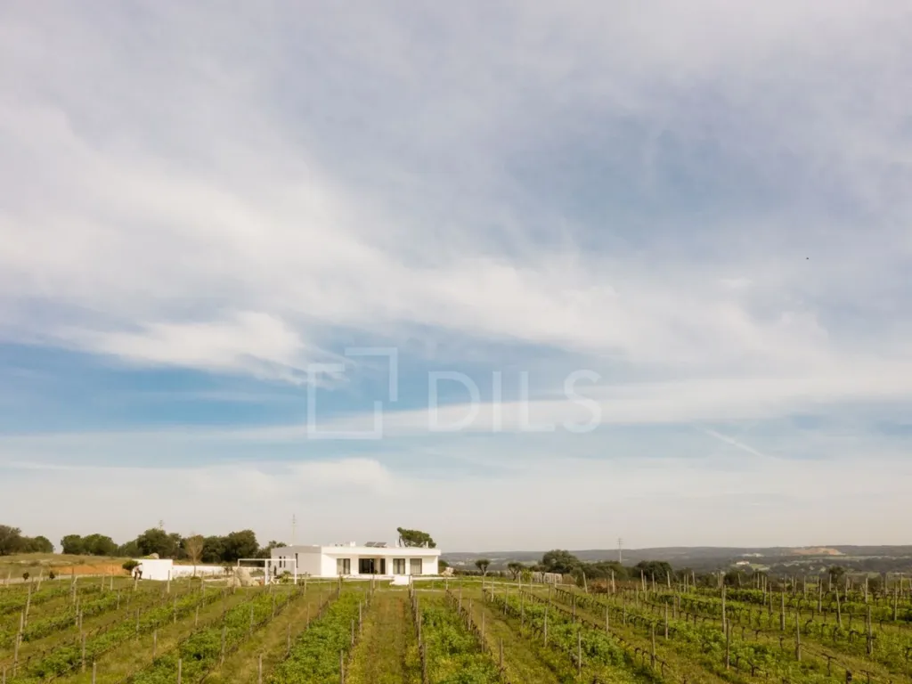 Aed - Villa with Pool and Vineyard in Alentejo
