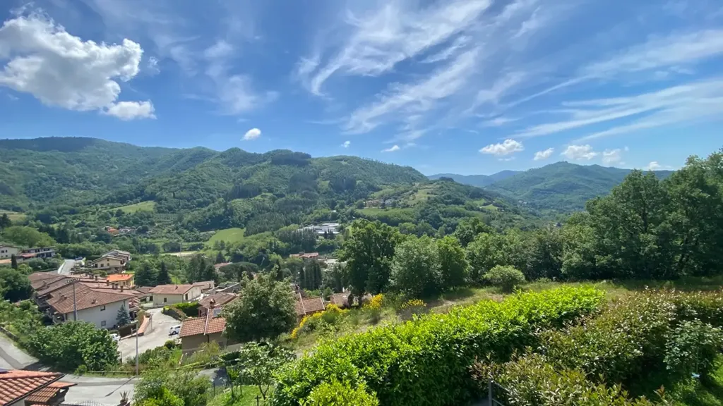 Aed - Panoramic Apartment with Terraces in Vernio