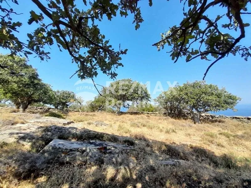 Jardin - Farmhouse with Sea View in Perama