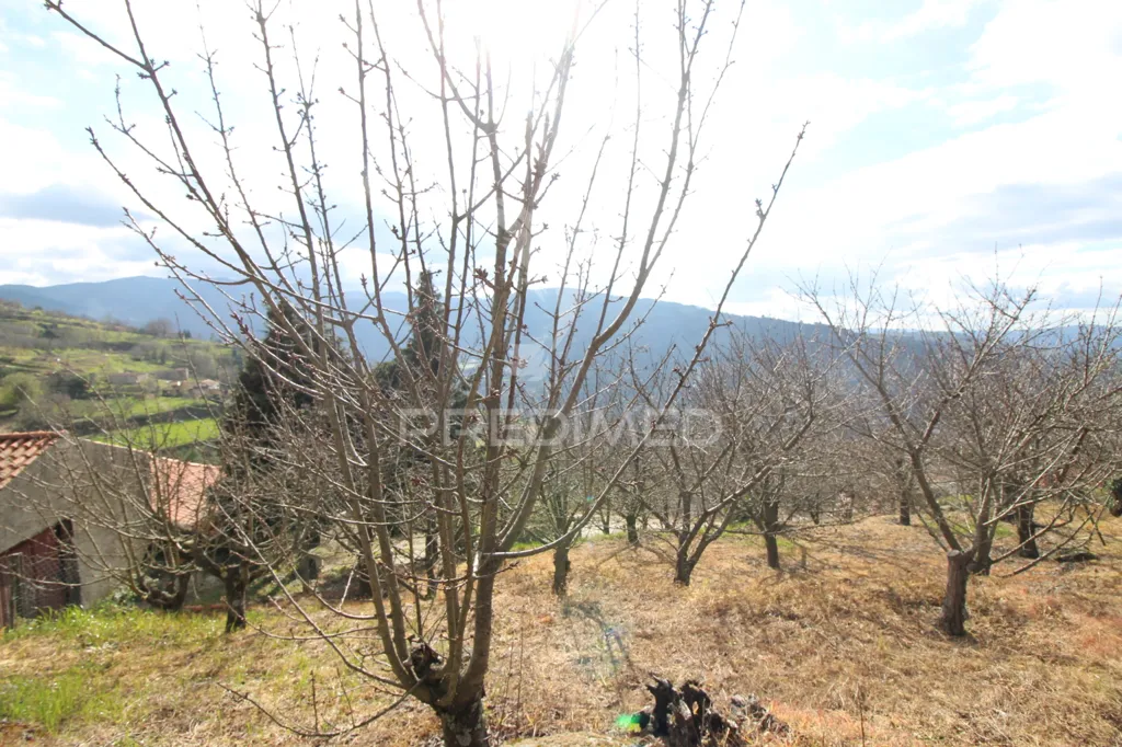 Jardin - Douro Vineyard with Water Source in Resende