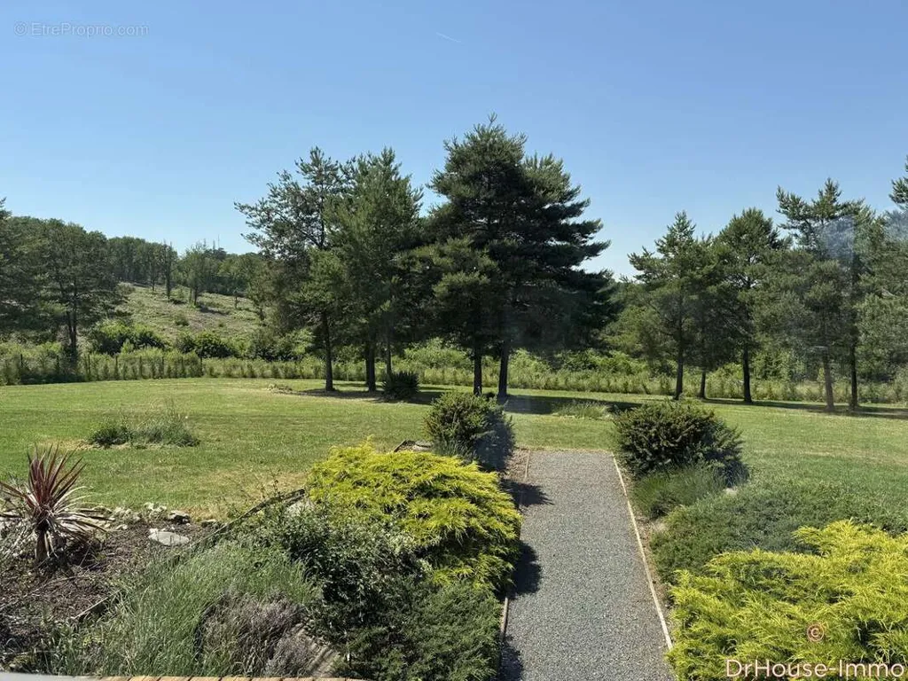 Jardin - Villa Contemporaine avec Piscine à Boulazac